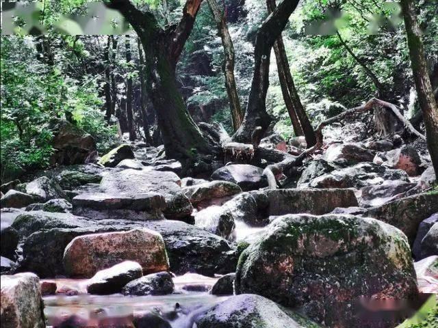 星际争霸2